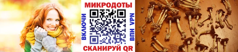 Псилоцибиновые грибы ЛСД  Спас-Деменск 